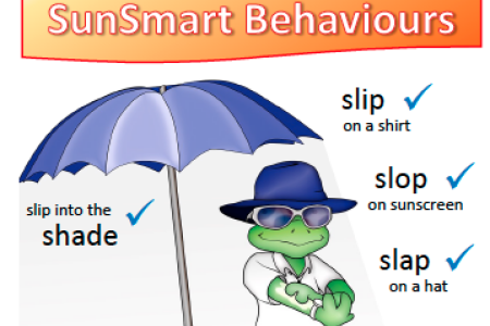 Sunsmart science for schools - Annual Report 2018