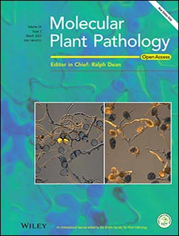 Journal cover - Nock, V.