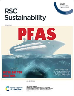 Journal cover - Chen and Leitao