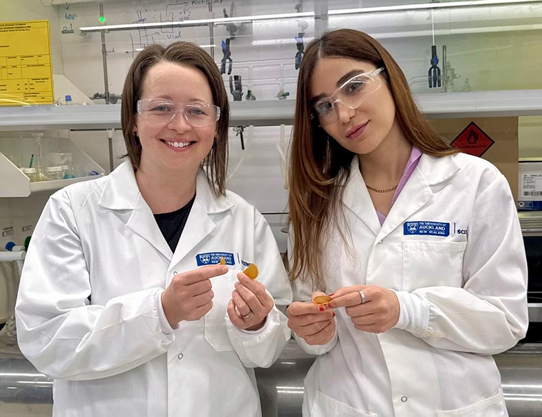 Erin Leitao and Mahsaalsadat Rokni are experimenting with adding sulphur to silicone materials to give them re-healing properties.