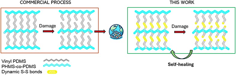 Typically, when silicone gets damaged, it is sent to the landfill (left panel). MacDiarmid Institute researchers are experimenting with adding sulphur bonds into the predominantly silicon-oxygen structure to enable the material to self-heal (right panel). Reproduced from Rokni et al., 2024.