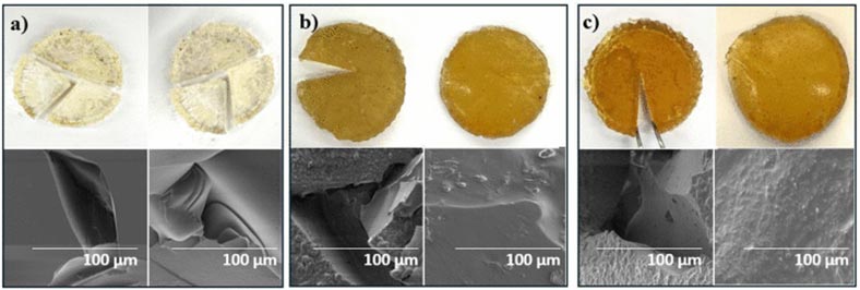 Silicone discs synthesized by the researchers (top row) with corresponding scanning electron microscope images (bottom row). Panels show damaged discs on the left and “healed” discs on the right for a) silicone without sulphur (no healing observed); b) silicone with some sulphur; c) silicone with high amounts of sulphur. Reproduced from Rokni et al., 2024.