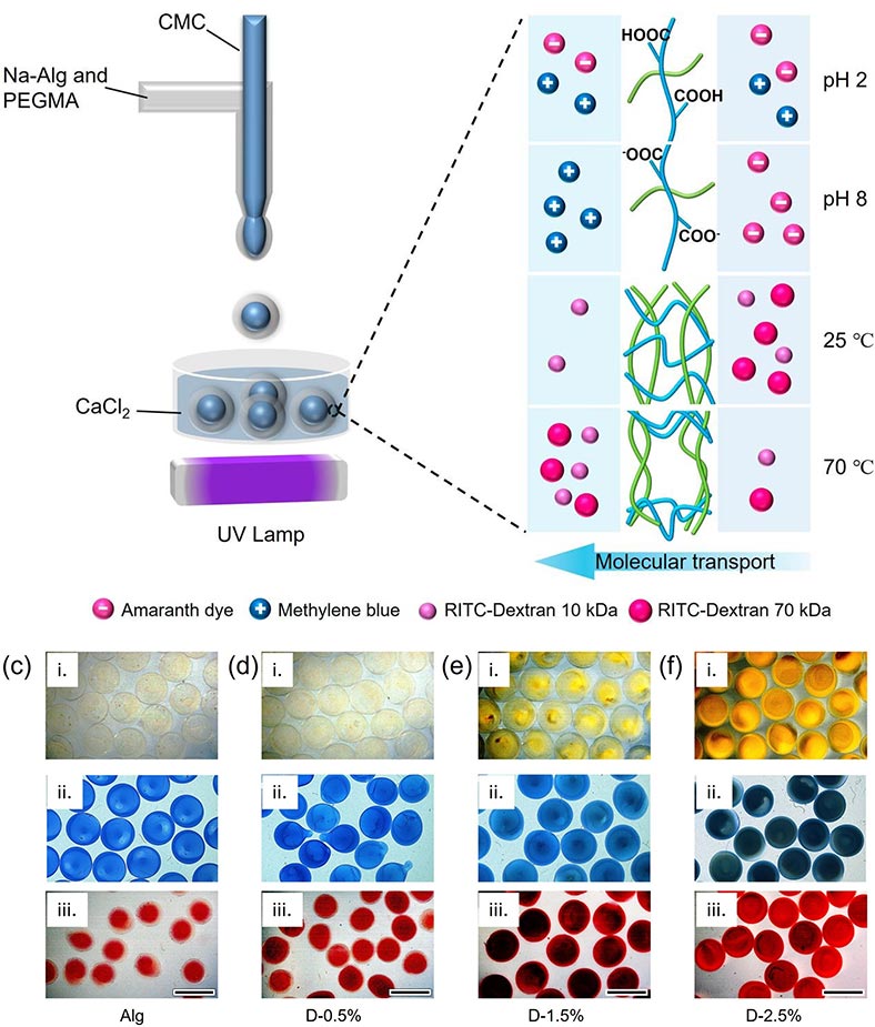 Diagrams from scientific paper by Yang et al