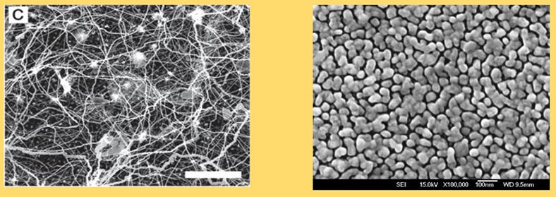 Self-assembled networks of both nanowires (left) and nanoparticles (right) are being investigated for their potential to behave like the network of neurons and synapses in the human brain.