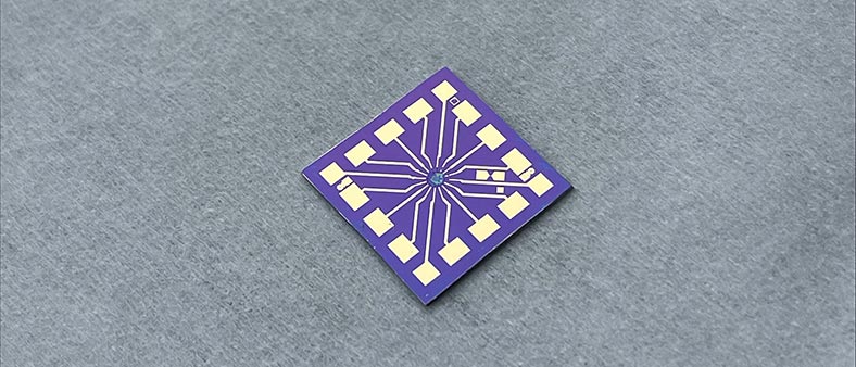 One of the devices made by the researchers (1cm by 1cm in size). A nanowire network sits in the centre (too small to see) and is overlaid by a film of memristive molecules. Gold electrodes extend outwards to contact pads around the edges and these can connect to external measurement devices. The base is a silicon wafer with an insulationg silicon dioxide layer on top.