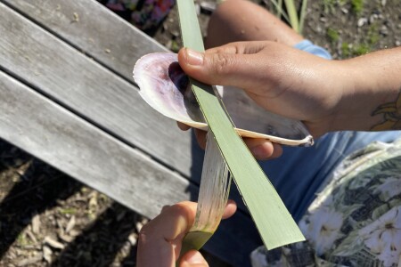 Weaving solutions to tackle waterway pollution 