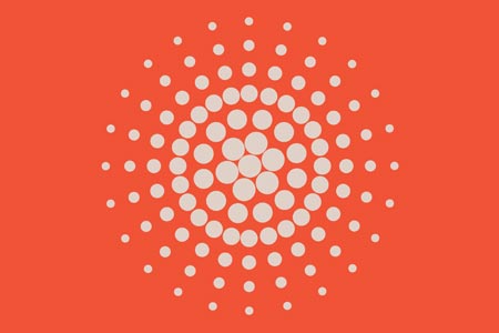 MacDiarmid Institute - Annual Report 2023
