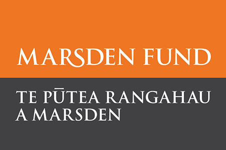 2023 Marsden grant success