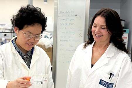Emulating biology to make simple cells - Annual Report 2025