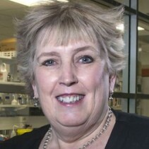 Distinguished Professor Dame Margaret Brimble