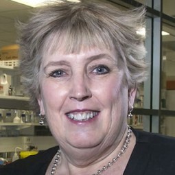 Distinguished Professor Dame Margaret Brimble