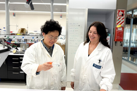 Borrowing from biology for green chemistry solutions to pollutants